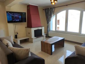 Una sala de estar con un sofá y una chimenea. en Capital Apartment Iraklitsa, en Nea Iraklitsa