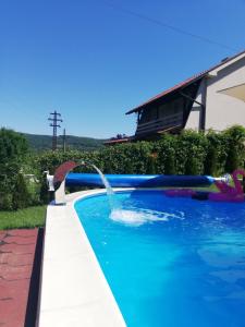 Bazén v ubytování Apartmani Radaković nebo v jeho okolí