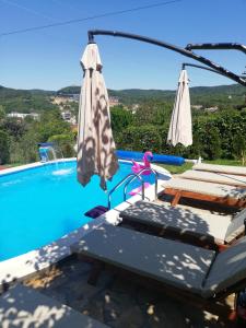 Blick auf einen Pool mit einem Sonnenschirm und einem Stuhl in der Unterkunft Apartmani Radaković in Vrdnik
