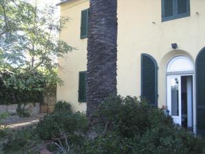 Vonkajšia záhrada v ubytovaní B&B Villa Panicucci