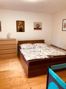1 dormitorio con 1 cama en una habitación en Tradičná kopaničiarska chalupa en Košariská-Priepasné