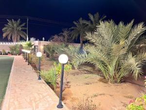 uma fila de luzes de rua num passeio com palmeiras em سرايا الياسمين em Ilbaras