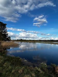 a body of water with a blue sky and clouds at Chatka Baby Agi in Cieciory