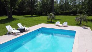 Basen w obiekcie Escapade Romantique en Chalet Nature, Calme et Douceur au Bord de Marne lub w pobliżu