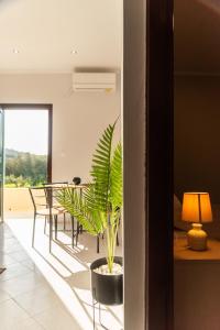 a living room with a table and a potted plant at ELPIS appartment in Vitalades