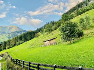 Una colina de hierba con un antiguo granero. en Ferienwohnung für 5 Personen ca 55 qm in Rauris, Salzburger Land Rauristal, en Rauris