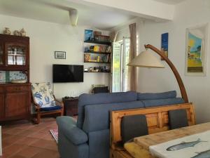 salon z niebieską kanapą i telewizorem w obiekcie Paguro w Rapallo