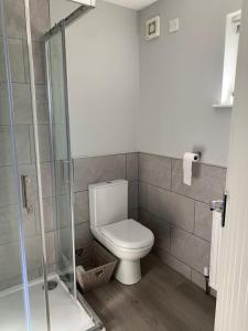 a bathroom with a toilet and a glass shower at North Coast Retreat in Portstewart
