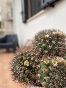 Gallery image of Rosa dei Venti in Polignano a Mare +34 photos