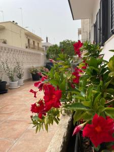 Gallery image of Rosa dei Venti in Polignano a Mare