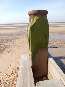 a pole on a beach with the ocean in the background at Arizona Caravan in Camber