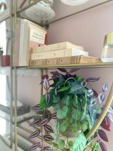 une étagère avec des livres et une plante en pot dans l'établissement Les Logis Aux portes de la Vallée de Chevreuse, 