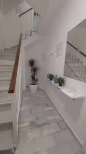 a staircase with potted plants in a white room at Brisas del Guadalquivir in Sanlúcar de Barrameda