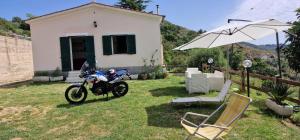 A garden outside Casa Ariel