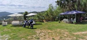 Táj Show holiday homes közelében