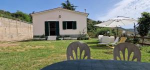 A garden outside Casa Ariel