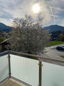 uma árvore com flores brancas numa varanda em Ferienwohnung in Mariahof em Neumarkt in Steiermark