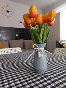 Mynd úr myndasafni af Studio apartman Beus í Kuršumlija