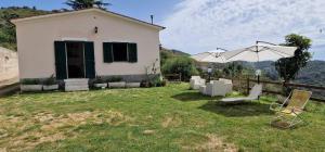 A garden outside Casa Ariel