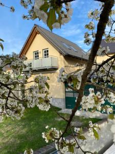 una casa con un árbol floreciente delante de ella en Ferienwohnung in Mariahof, en Neumarkt in Steiermark