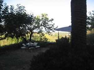Vonkajšia záhrada v ubytovaní B&B Villa Panicucci
