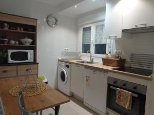 a kitchen with a sink and a washing machine at Barrón 21 in Logroño