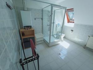 a bathroom with a glass shower and a toilet at AMRI Apartman in Balatonföldvár