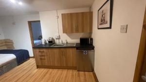 a small kitchen with a sink and a microwave at Bryn Bettws Lodge in Port Talbot
