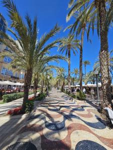 a path lined with palm trees on the beach at Apartamentos Turísticos KENZAMIN in Alicante