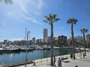a group of palm trees next to a marina with boats at Apartamentos Turísticos KENZAMIN in Alicante