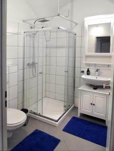 y baño con ducha, aseo y lavamanos. en Wohnung im Schlösschen, en Lichtenfels
