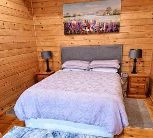 a bedroom with a bed and two night stands with lamps at Desart School Garden Chalet in Kilkenny