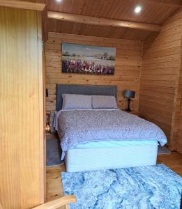 ein Schlafzimmer mit einem Bett in einem Holzzimmer in der Unterkunft Desart School Garden Chalet in Kilkenny
