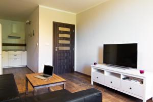 Televízia a/alebo spoločenská miestnosť v ubytovaní Apartmány Chata Švadlenka