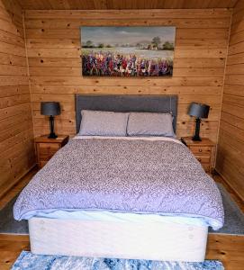 Desart School Garden Chalet في كيلكيني: غرفة نوم بسرير كبير فيها مصباحين