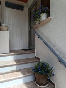 un conjunto de escaleras con dos macetas. en Holiday Home Kristi en Bovec