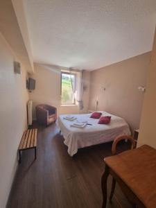 um quarto com uma cama, uma cadeira e uma janela em Au Parfum des Bois em Saint-Cirgues-en-Montagne