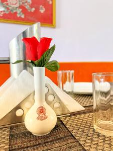 un vaso con una rosa rossa sul tavolo. di Hotel Lumbini a Leh