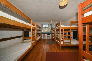 een slaapzaal met meerdere stapelbedden bij The Lazy Monkey Hostel & Apartments in Zadar