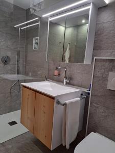 a bathroom with a sink and a shower at Crusch 32 in Samedan