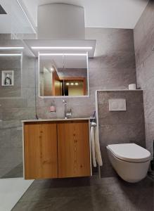 ein Badezimmer mit einem Waschbecken, einem WC und einem Spiegel in der Unterkunft Crusch 32 in Samedan
