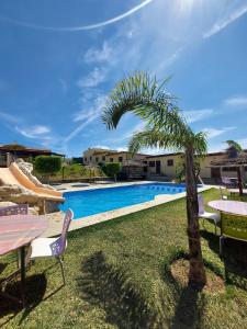 a palm tree next to a swimming pool at LA GRANJA in Tétouan +99 photos