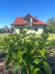 una casa con techo rojo y una planta en Pogodna Zagroda-Dom na Kaszubach & Strefa Spa, en Kościerzyna