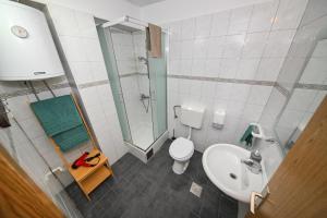 The Lazy Monkey Hostel & Apartmentsにあるバスルーム