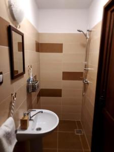 a bathroom with a sink and a shower at Boglárka Vendégház in Morăreni