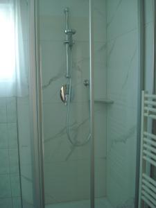 a shower with a glass door in a bathroom at Appartement Ahornegger in Schladming +14 photos