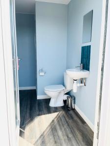 uma casa de banho com um WC e um lavatório em Charming Lodge in Morpeth em Morpeth