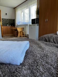 Kuchyňa alebo kuchynka v ubytovaní Pokoje i Apartamenty Regionalny Styl ul Króle 1a Zakopane