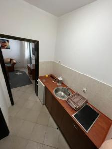 a kitchen with a sink and a counter top at Renome in Petrovac na Moru