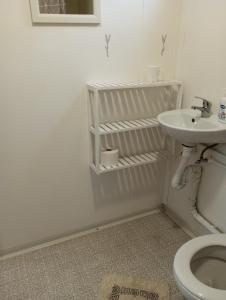 a bathroom with a sink and a toilet at Smještaj Dada in Trebinje